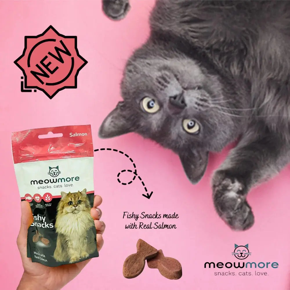 Cat enjoying Meowmore fishy snacks made with real salmon on a pink background.