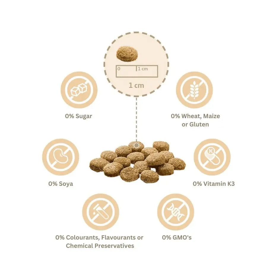 Natural pet food kibble with 0% sugar, wheat, and artificial additives, promoting healthy nutrition.