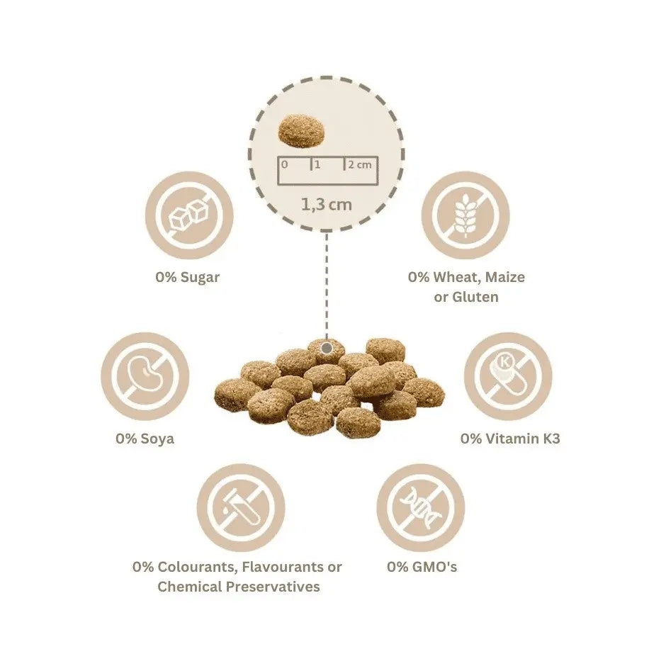 Natural pet food kibble with no additives, featuring a detailed ingredient infographic.
