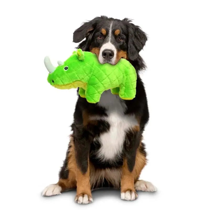 Dog holding a green plush rhinoceros toy, showcasing playful pet accessories.