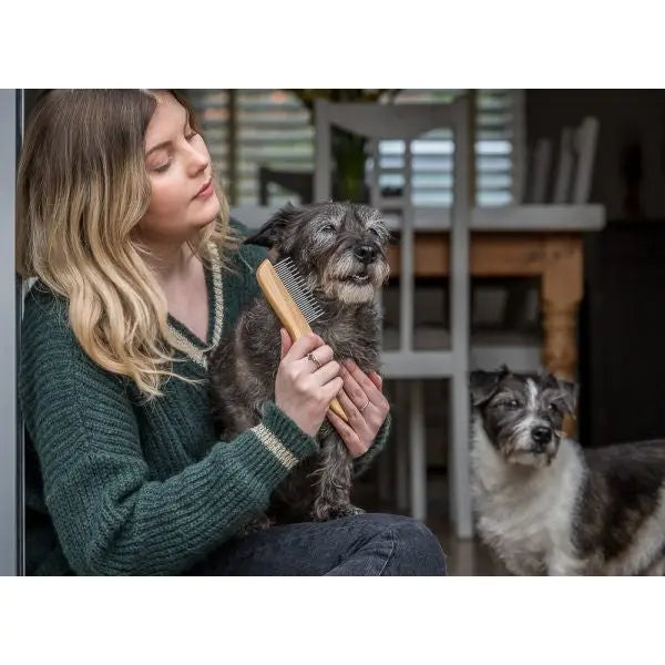 Woman grooming a small dog with a brush in a cozy home setting.