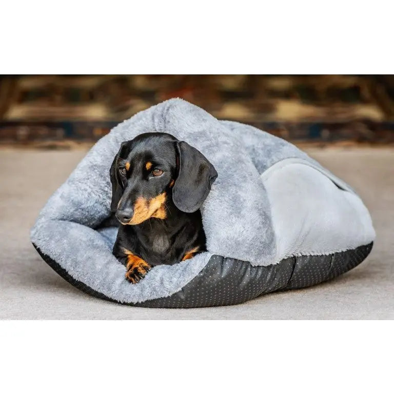 Cozy dog bed with a dachshund resting comfortably inside, perfect for pet relaxation.