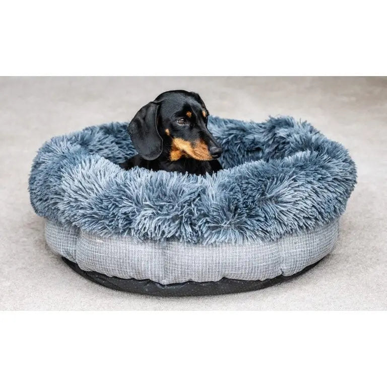 Cozy dog bed with plush edges, perfect for small breeds like Dachshunds to relax and sleep comfortably.