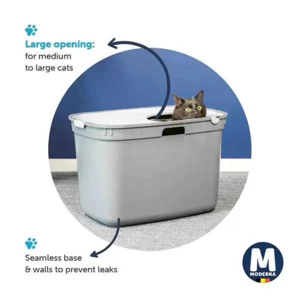 Moderna Top Cat Litter Box   | Canine & Co