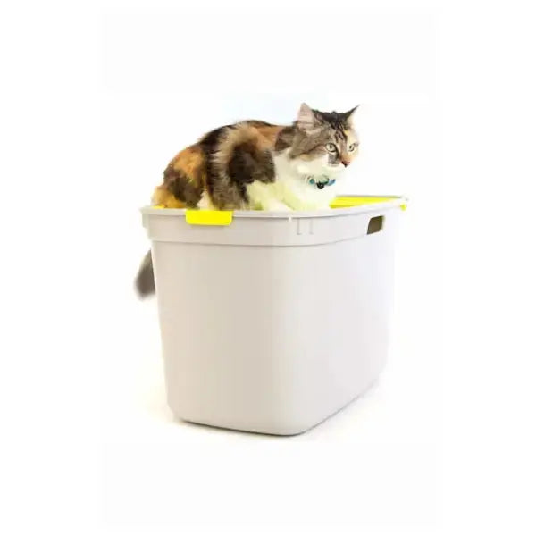 Moderna Top Cat Litter Box   | Canine & Co