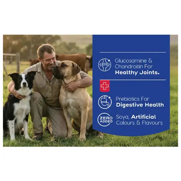 Montego Classic Adult Beef Dry Dog Food   | Canine & Co