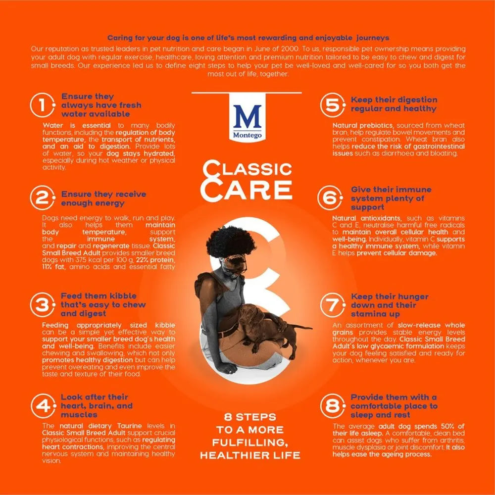 Dog care infographic highlighting eight steps for a healthier life, including hydration and nutrition tips.