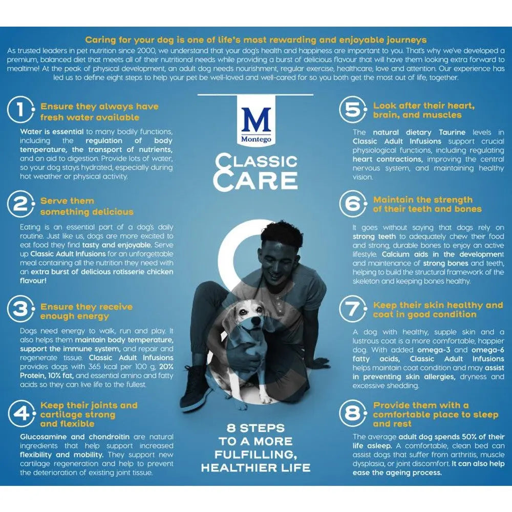 Infographic detailing eight steps for classic dog care, focusing on health and well-being.