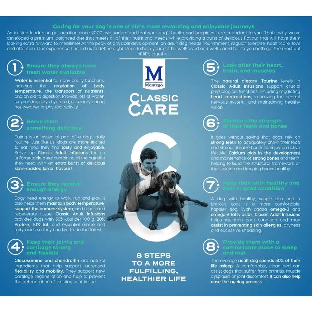 Infographic outlining 8 steps for a fulfilling, healthier life for dogs, featuring care tips and nutritional advice.