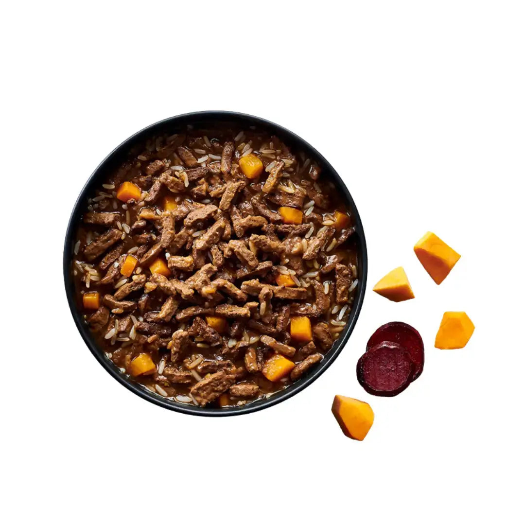 Montego Karoo Puppy Lamb Wet Dog Food   | Canine & Co