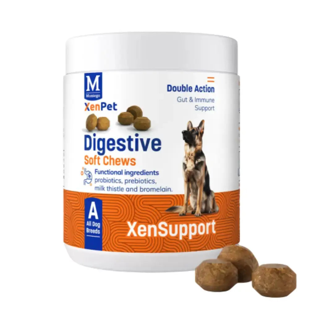 Montego XenPet Digestive Chews For Dogs   | Canine & Co
