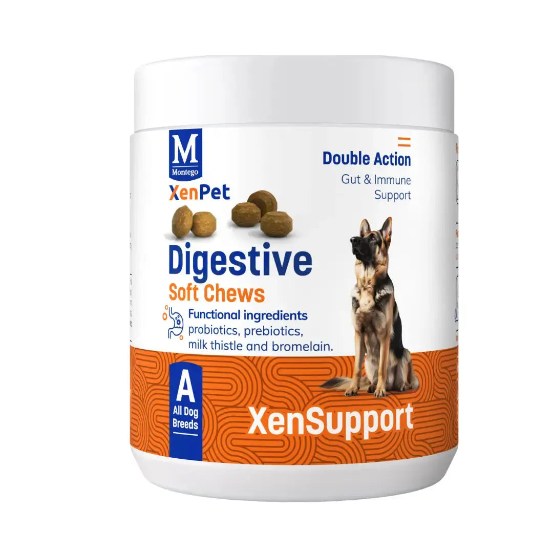 Montego XenPet Digestive Chews For Dogs   | Canine & Co