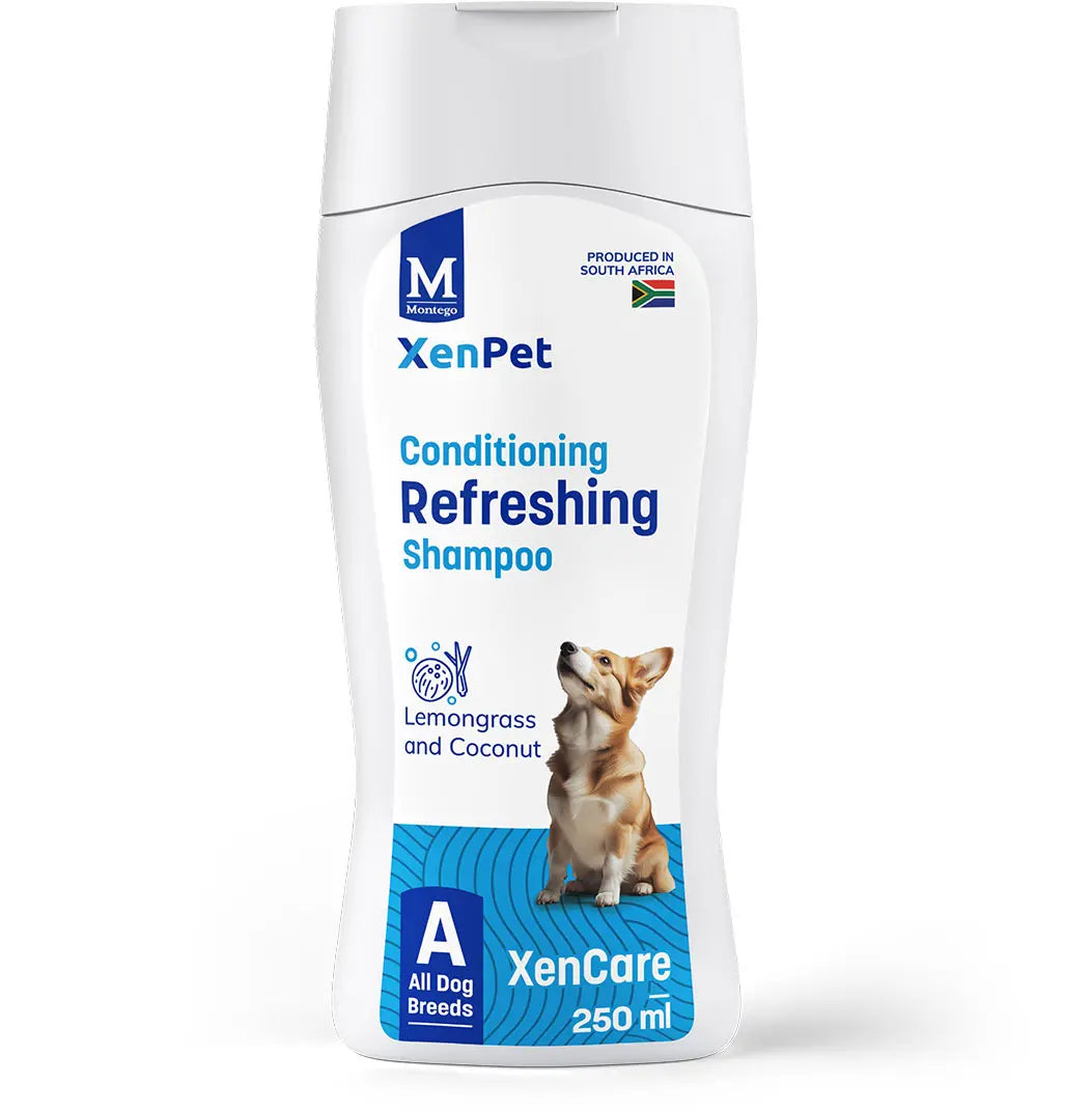Montego XenPet Lemongrass & Coconut Shampoo   | Canine & Co
