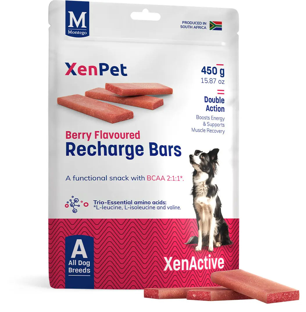 Montego XenPet Recharge Bars – Berry Flavoured   | Canine & Co