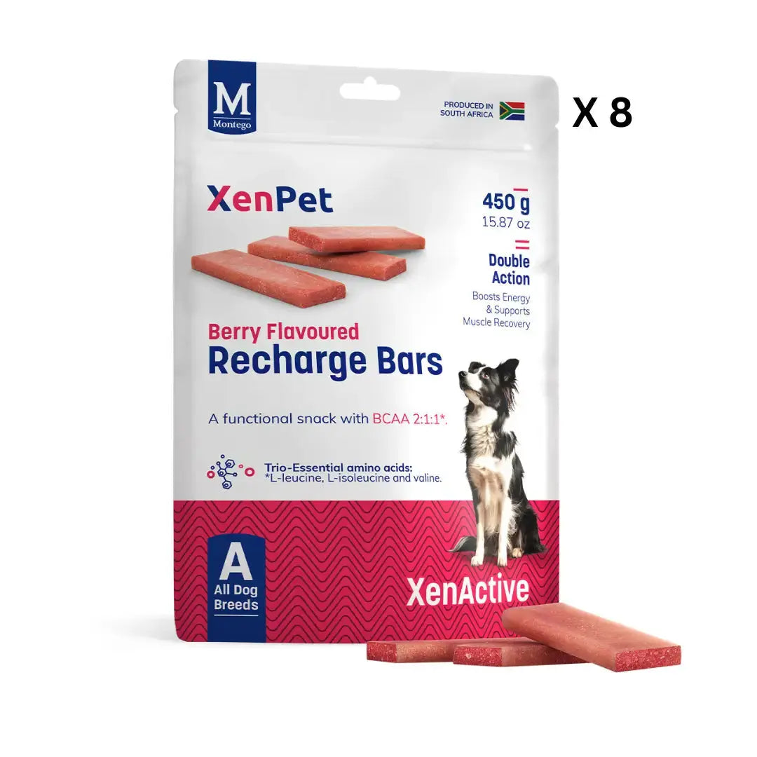 Montego XenPet Recharge Bars – Berry Flavoured   | Canine & Co