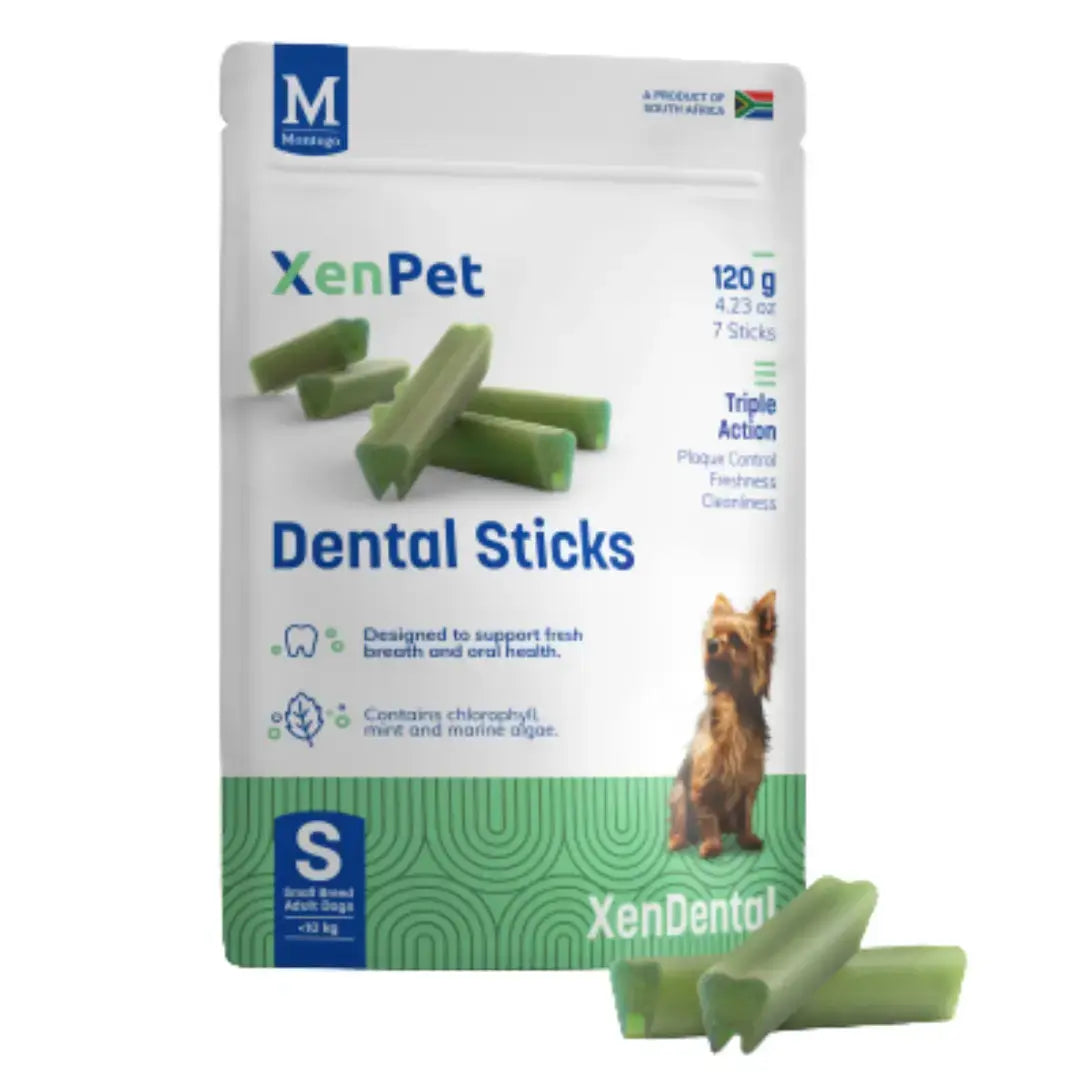 Montego Xenpet Dental Sticks   | Canine & Co