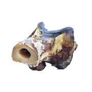 Natural beef bone chew for dogs, promoting dental health and satisfying chewing instincts.