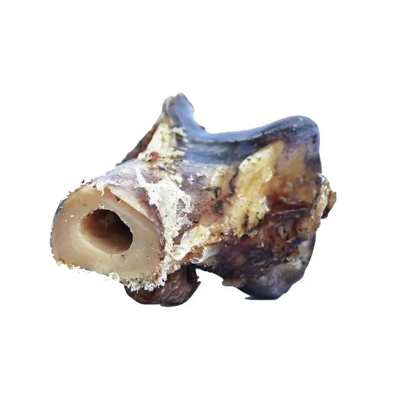 Natural beef bone chew for dogs, promoting dental health and satisfying chewing instincts.