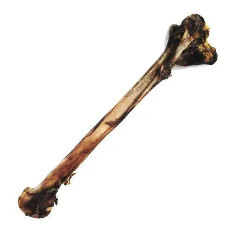 Natural dog bone chew, perfect for dental health and satisfying your pet's chewing instincts.