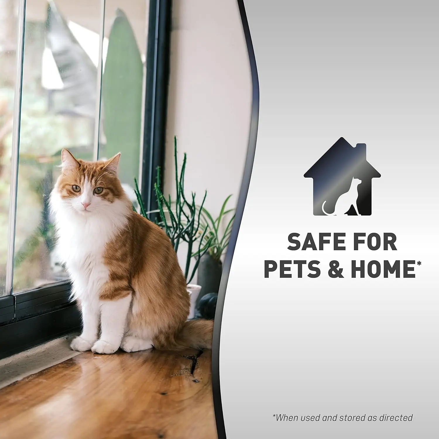 Cat sitting by a window, promoting a pet-safe home environment.