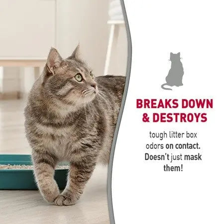 Cat using litter box with odor-fighting formula that breaks down and eliminates odors effectively.