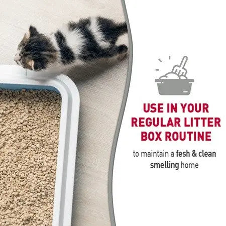 Kitten near a litter box, promoting a fresh and clean home routine for pet owners.