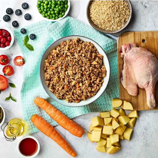 Naturo Duck with Rice and Vegetables Adult Wet Dog Food   | Canine & Co