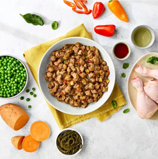 Naturo Grain and Gluten Free Chicken in Herb Gravy Wet Dog Food   | Canine & Co