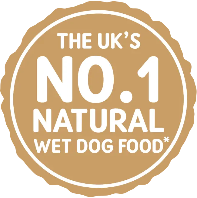Naturo Grain and Gluten Free Turkey in Herb Gravy Wet Dog Food   | Canine & Co