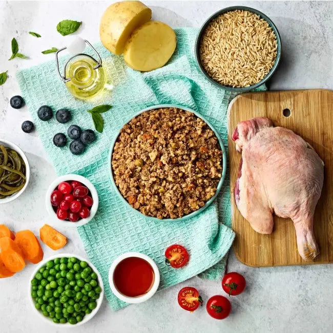 Naturo Mini Adult Duck Veg & Brown Rice Wet Dog Food   | Canine & Co