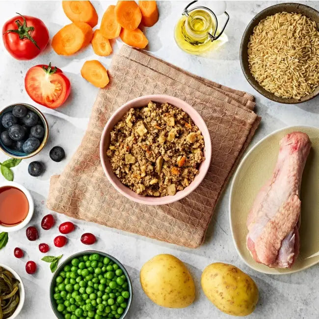 Naturo Senior Dog Turkey Veg & Brown Rice Wet Dog Food   | Canine & Co