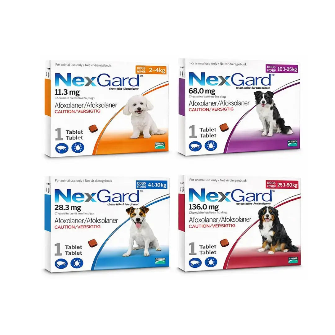 NexGard Chewable Tick & Flea Tablets for Dogs   | Canine & Co