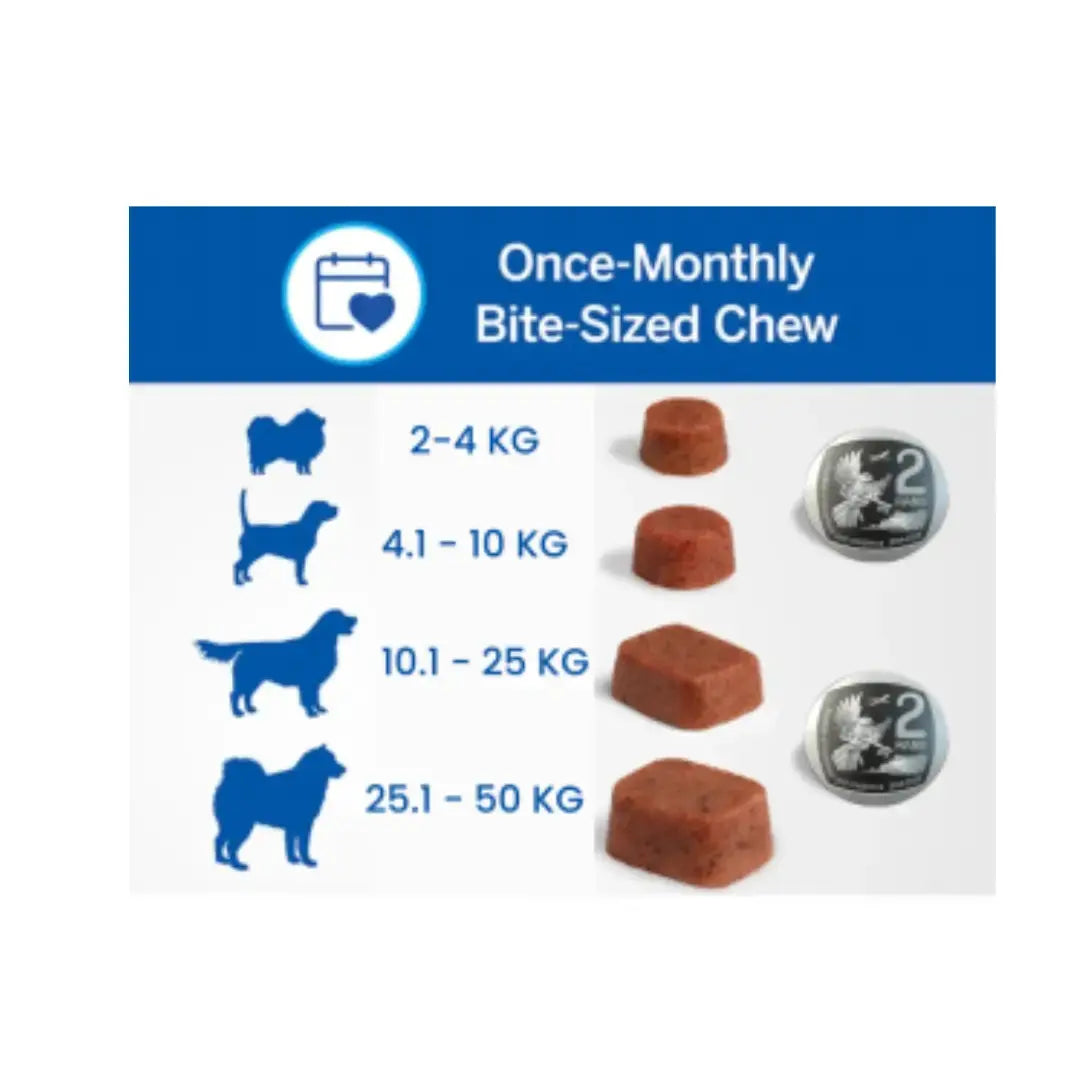 NexGard Chewable Tick & Flea Tablets for Dogs   | Canine & Co