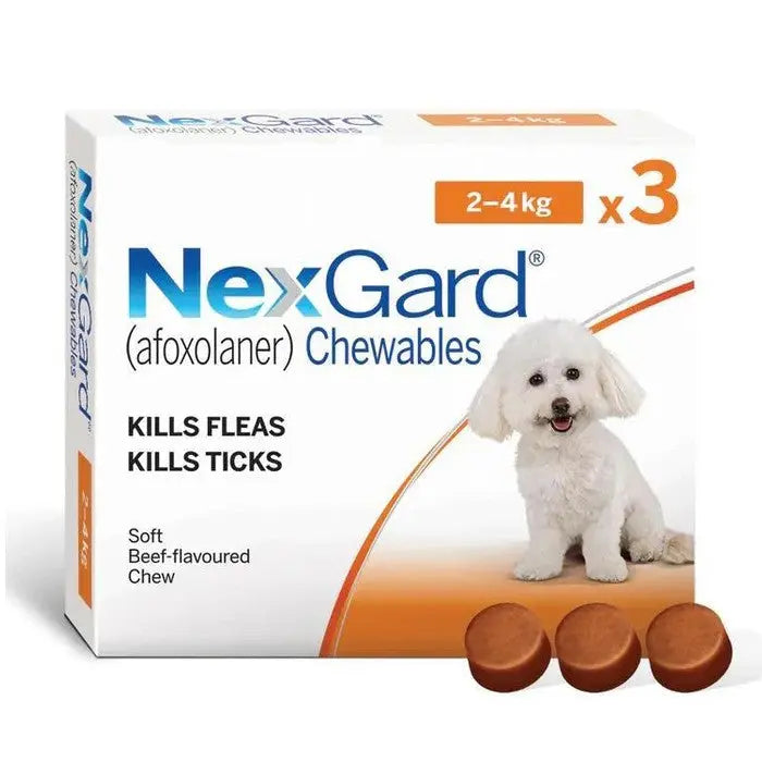 NexGard chewables for dogs, beef-flavored, effectively kills fleas and ticks in a convenient package.