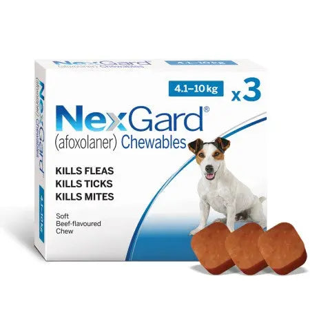 NexGard chewables for dogs, effective against fleas, ticks, and mites, with a tasty beef flavor.