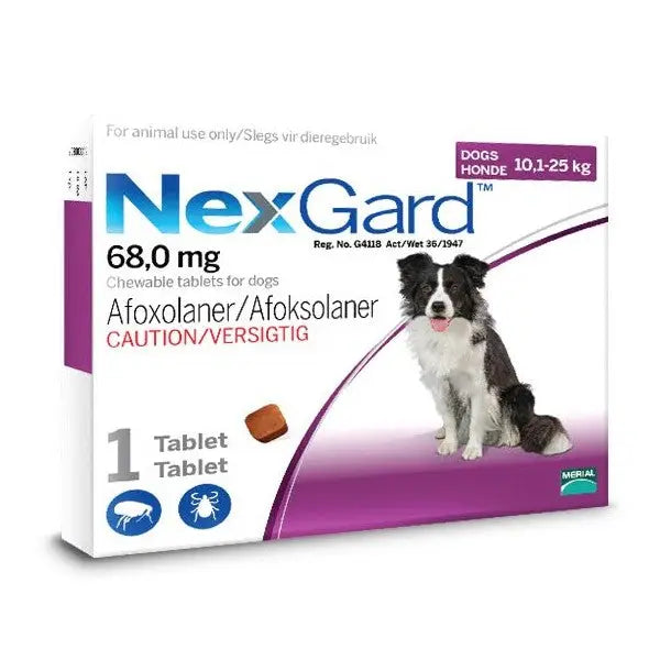 NexGard chewable tablet packaging for dogs, effective against fleas and ticks, suitable for small breeds.