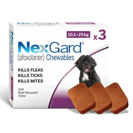 NexGard chewables for dogs, effective against fleas, ticks, and mites, beef-flavored for easy feeding.