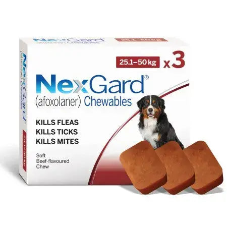 NexGard chewables for dogs, beef-flavored, effective against fleas, ticks, and mites.