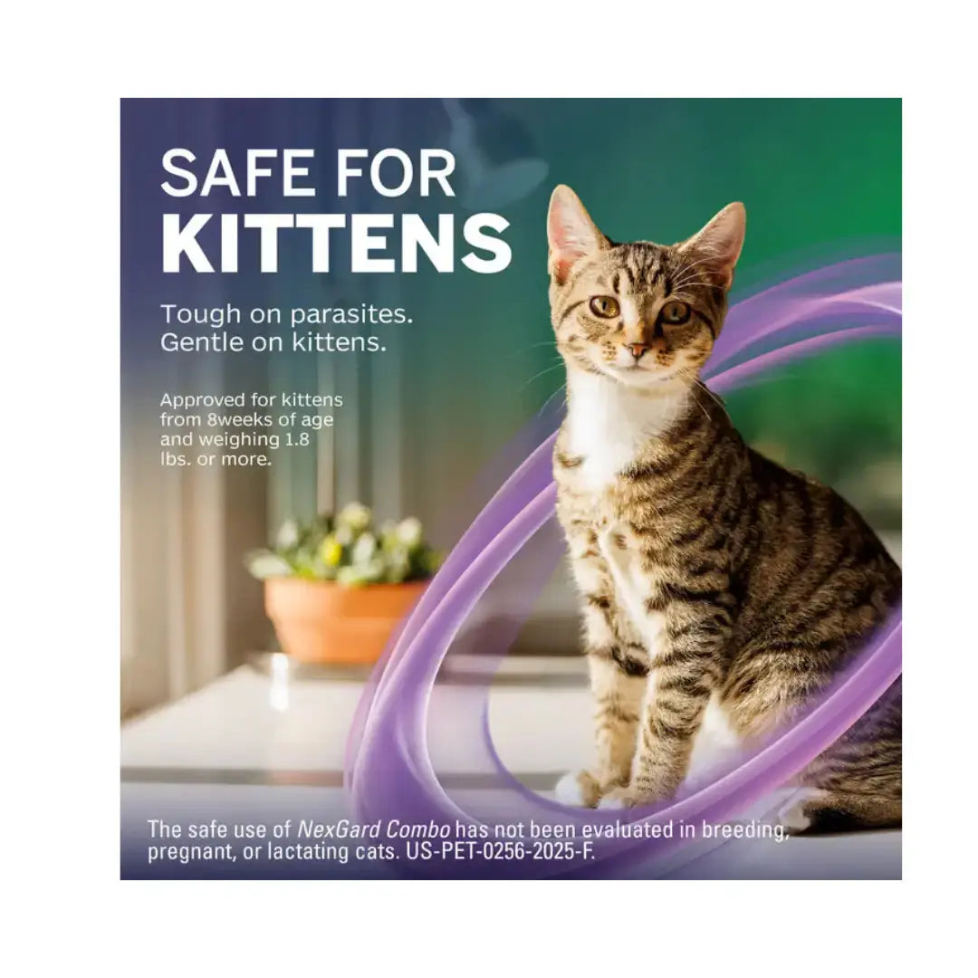 NexGard Combo for Cats   | Canine & Co