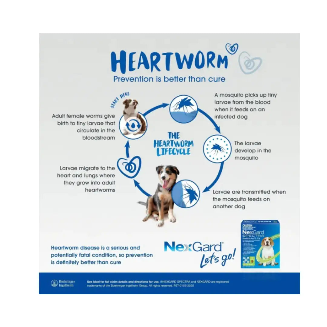 NexGard Spectra Chewable Tick & Flea Tablets   | Canine & Co