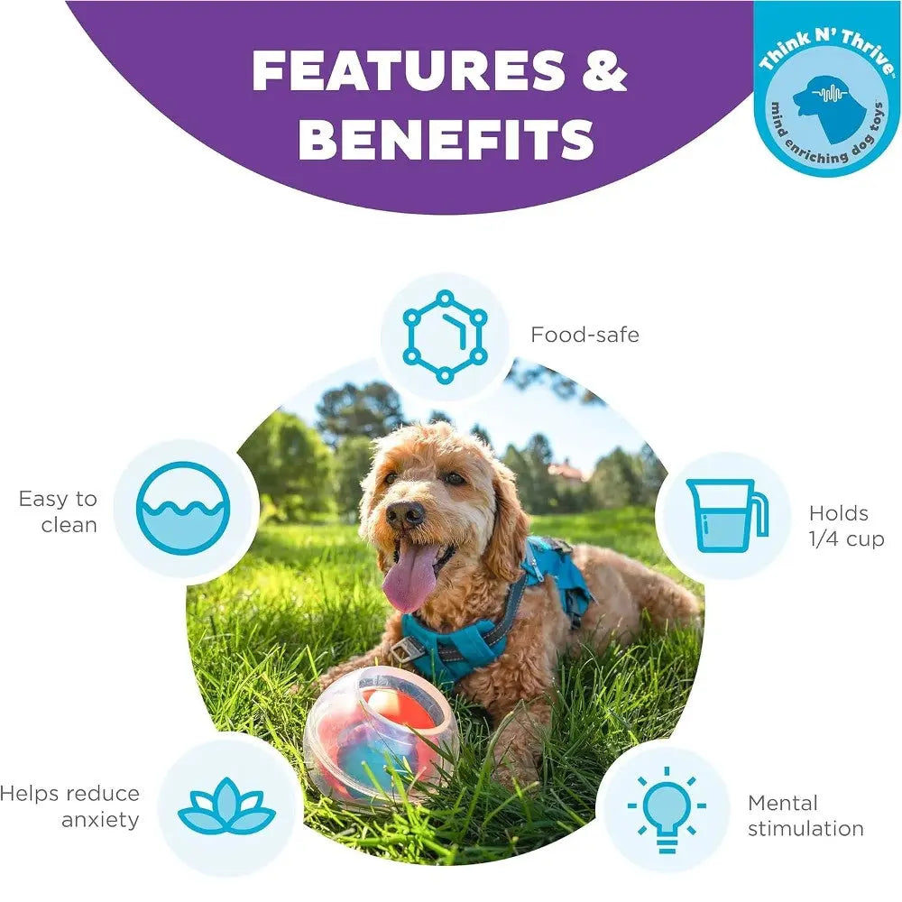 Dog playing with a food-safe toy that promotes mental stimulation and reduces anxiety outdoors.