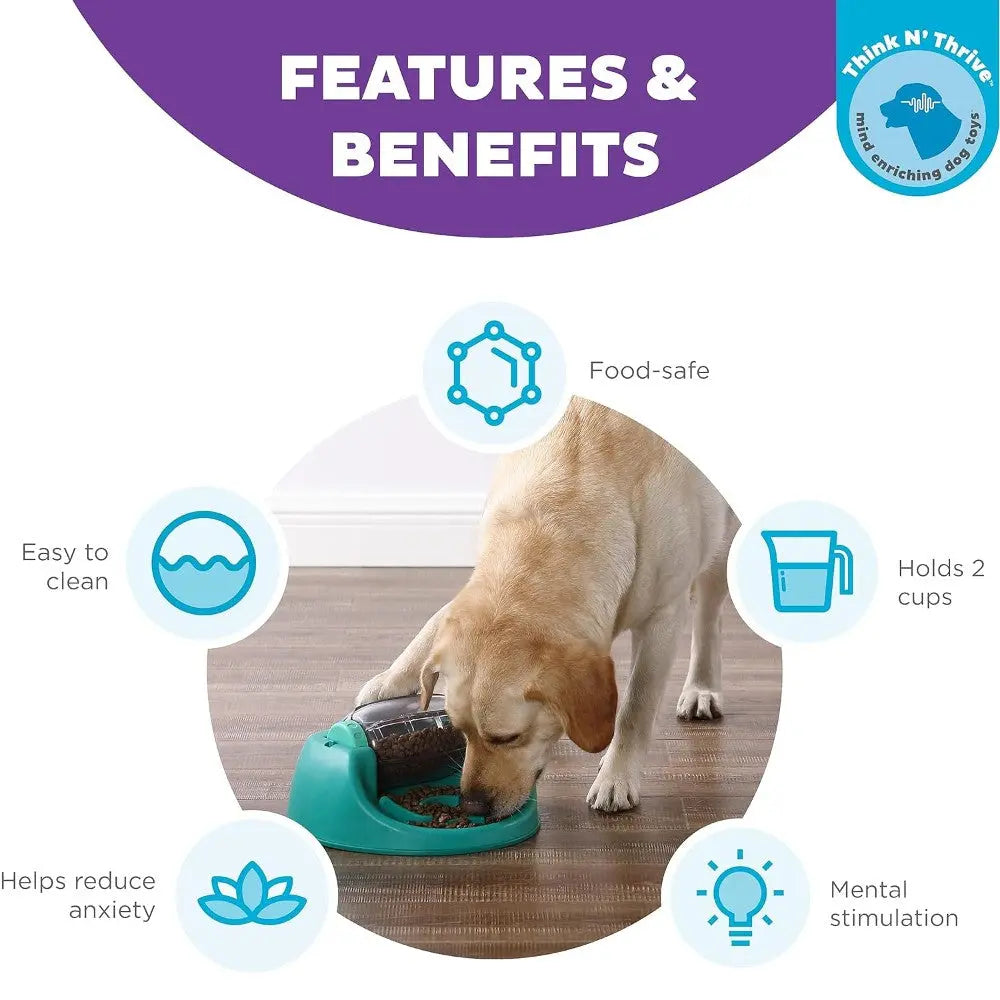 Dog using a food-safe bowl that holds 2 cups, designed for easy cleaning and mental stimulation.