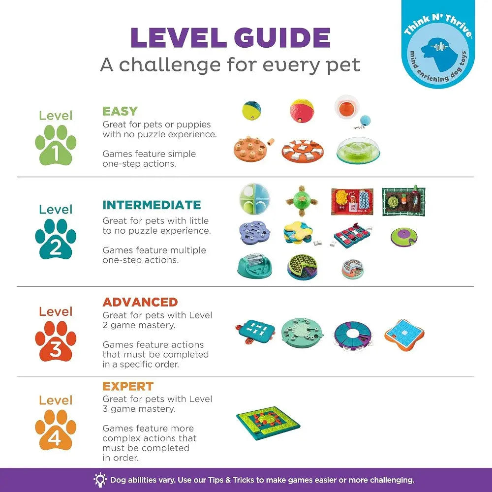 Pet puzzle level guide infographic showcasing difficulty levels for engaging pet games.