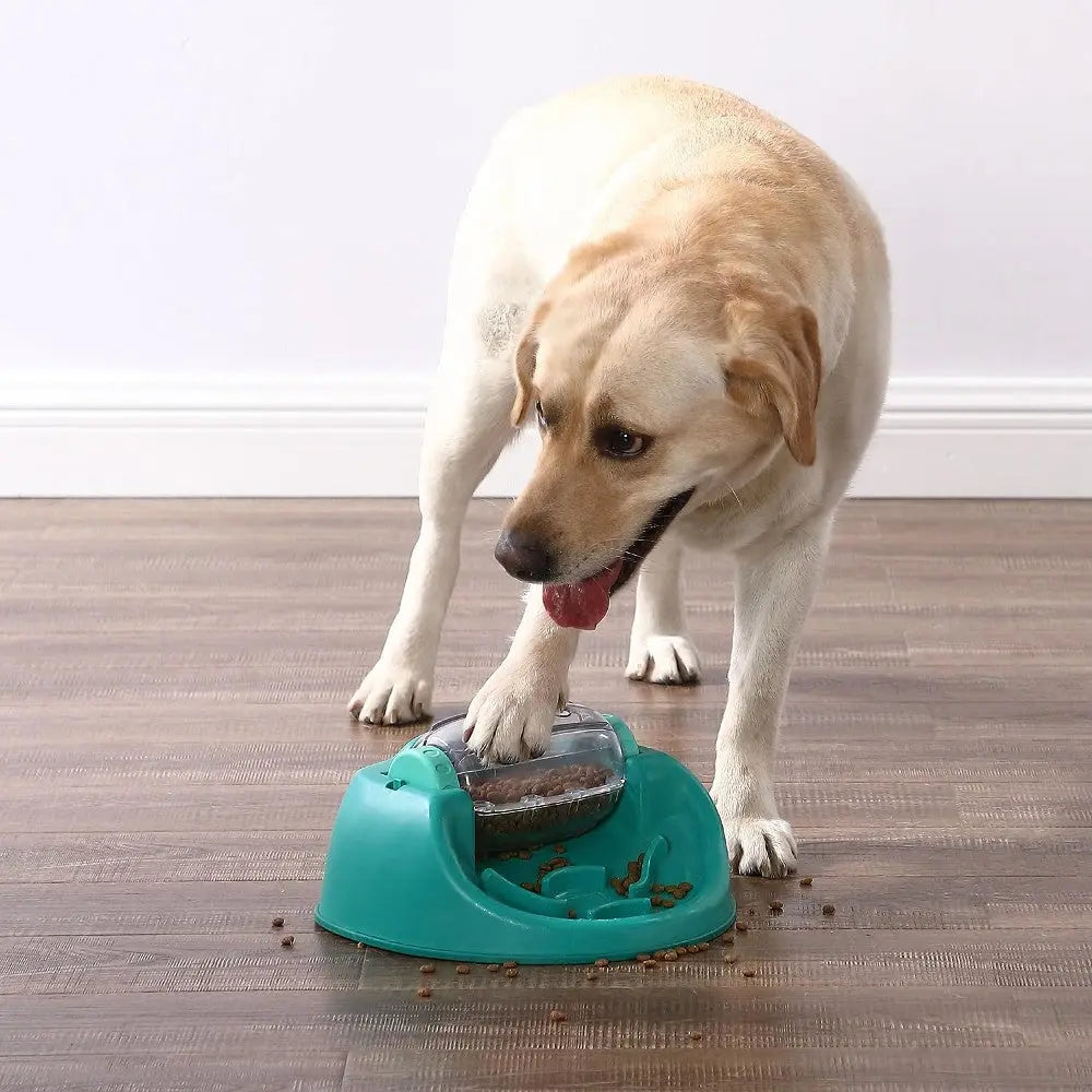 Dog using a teal automatic feeder, enjoying kibble on a wooden floor.