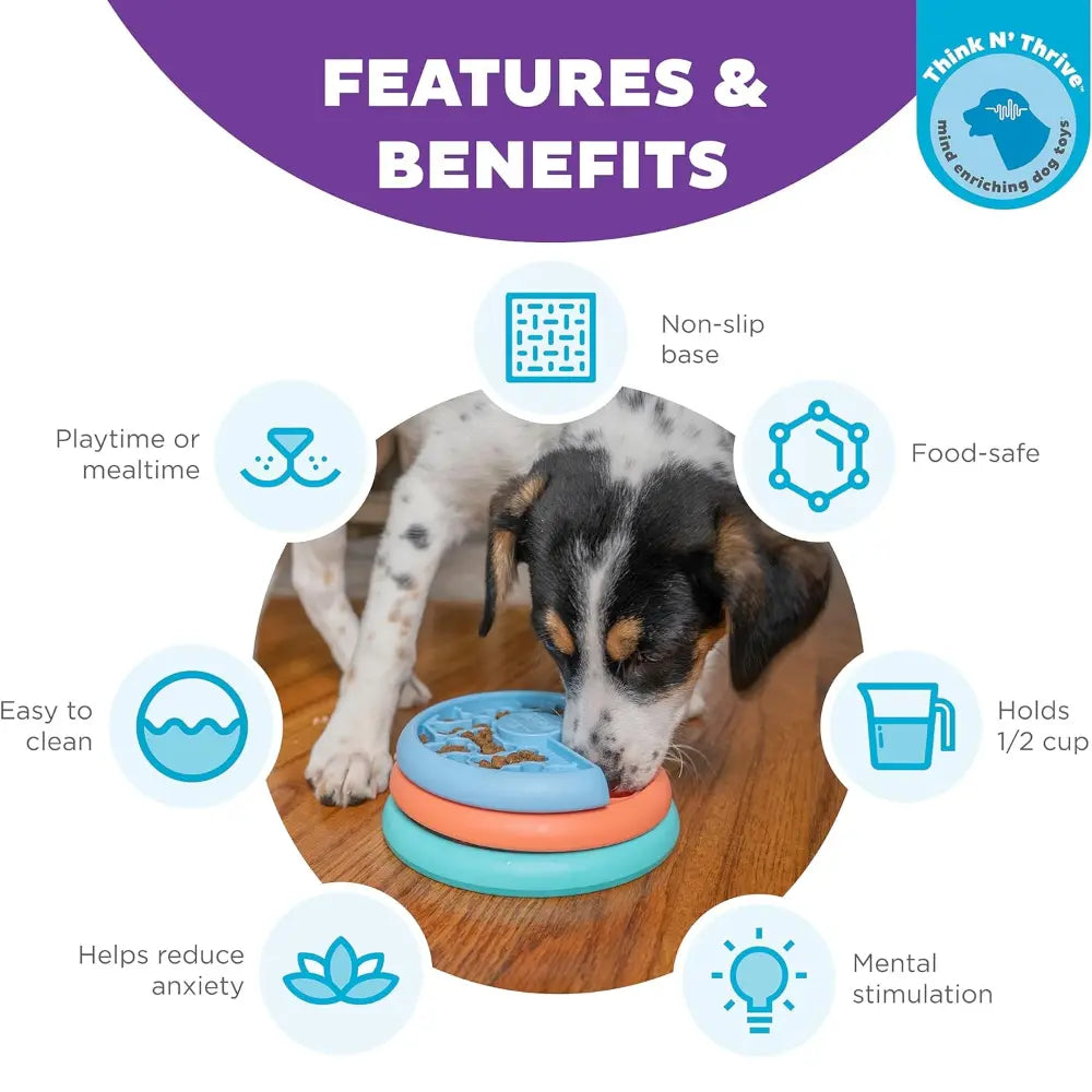 Dog using a colorful, non-slip feeding mat designed for mental stimulation and anxiety reduction.