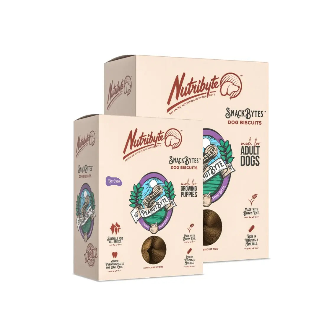 Nutribyte SnackBytes PeanutByte Adult Dog Biscuit Treats   | Canine & Co