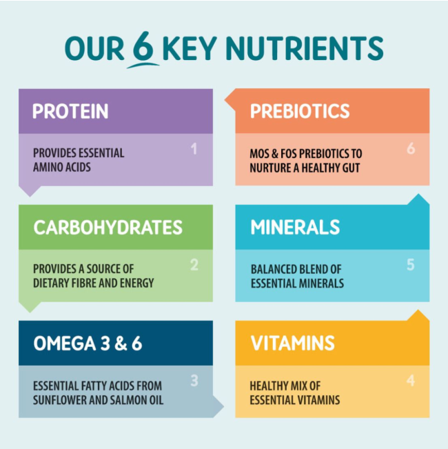 Naturo Grain Free Chicken with Potato and Vegetable Adult Wet Dog Food   | Canine & Co