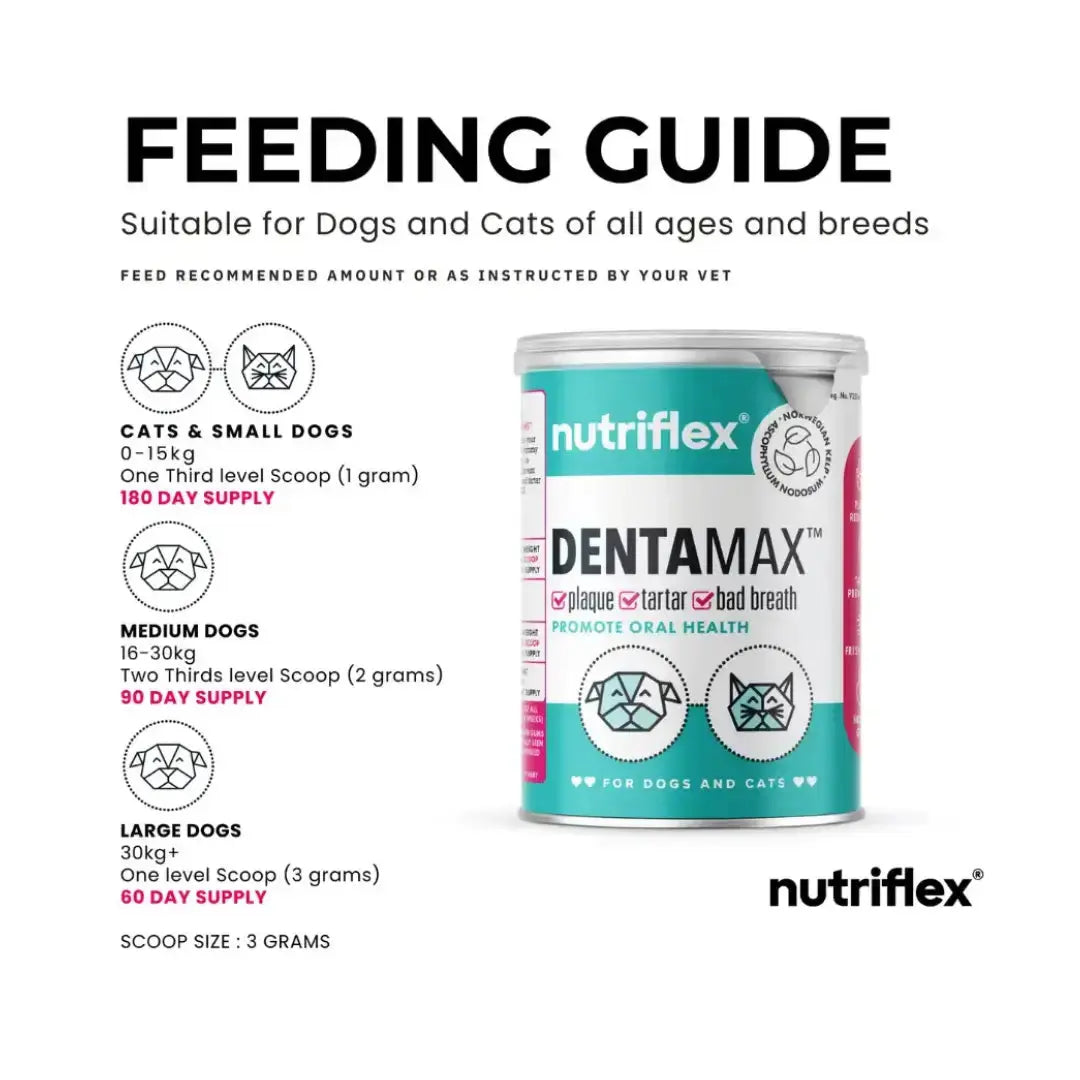 Nutriflex Dentamax Dog Dental Powder   | Canine & Co