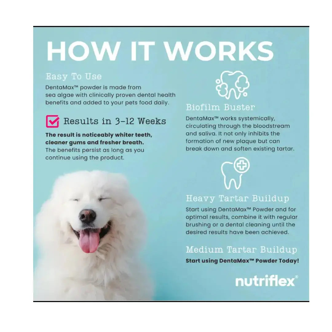 Nutriflex Dentamax Dog Dental Powder   | Canine & Co