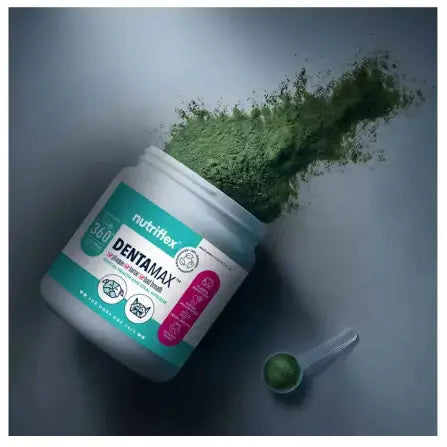 Nutriflex Dentamax Dog Dental Powder   | Canine & Co